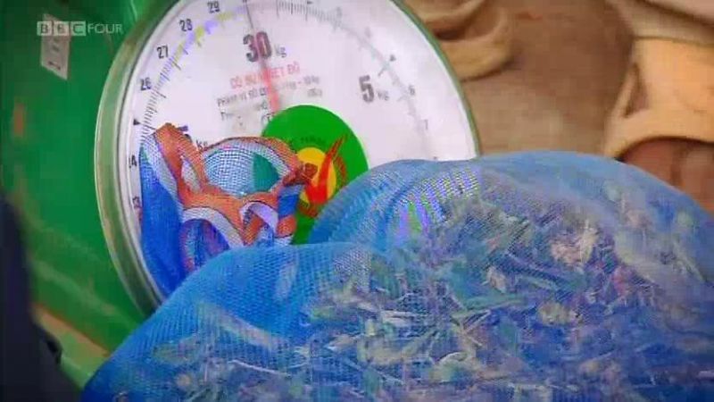 吃昆虫能拯救世界吗? 剧照5