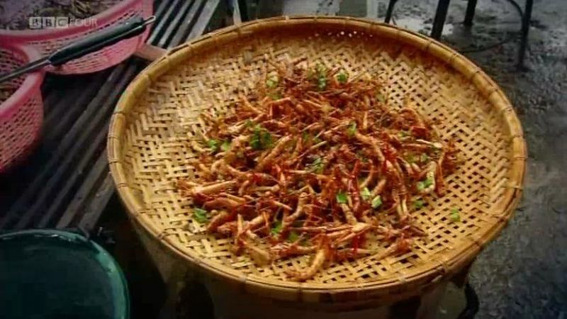 吃昆虫能拯救世界吗? 剧照6