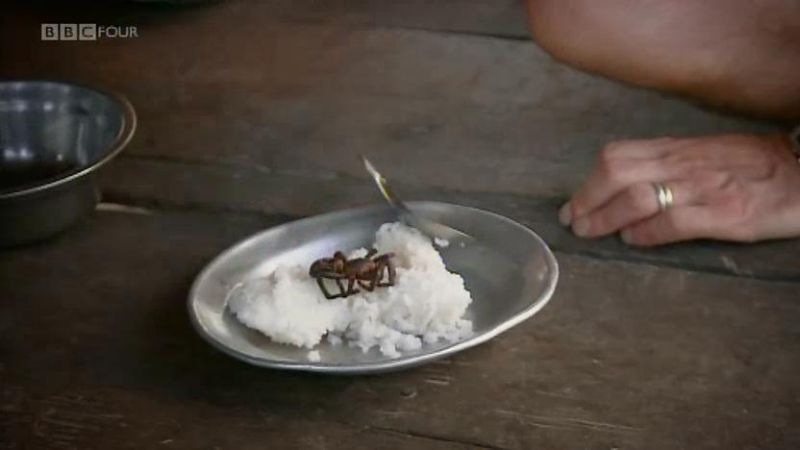 吃昆虫能拯救世界吗? 剧照8