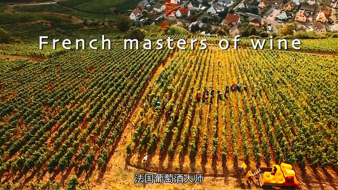 法国葡萄酒大师 剧照1