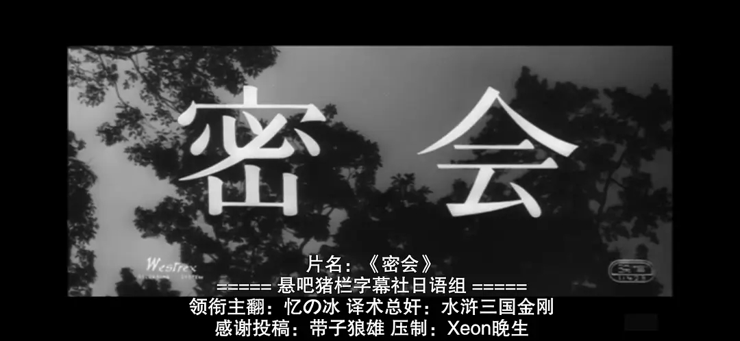 密会 剧照9