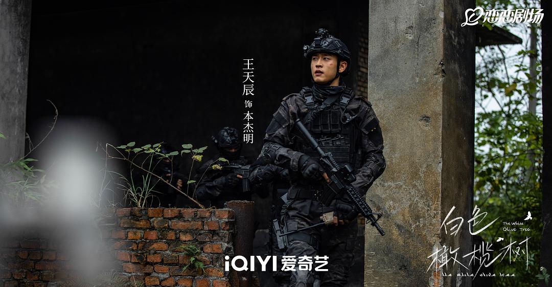 白色橄榄树 剧照9