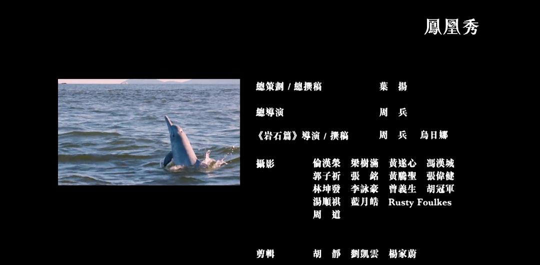 香港自然故事 剧照6
