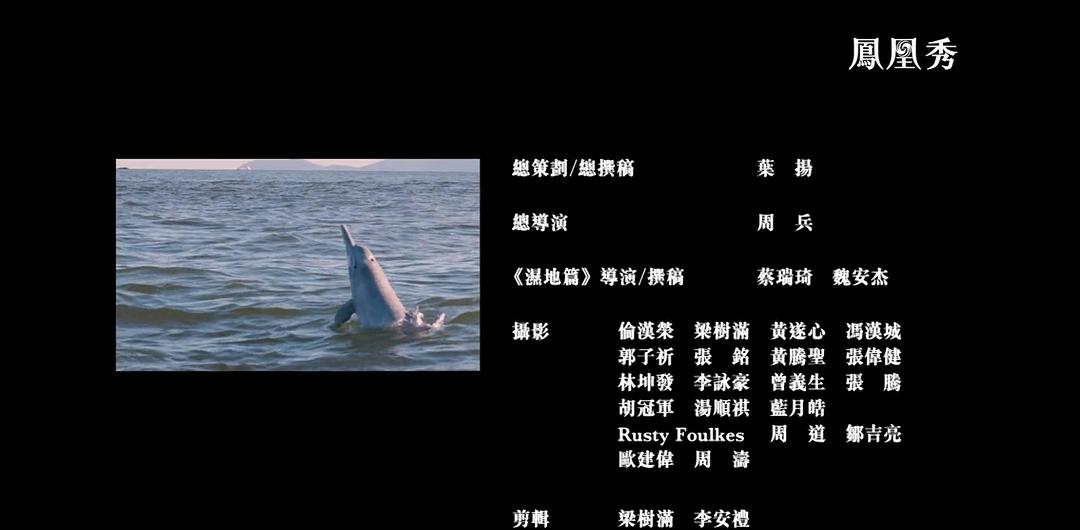 香港自然故事 剧照7