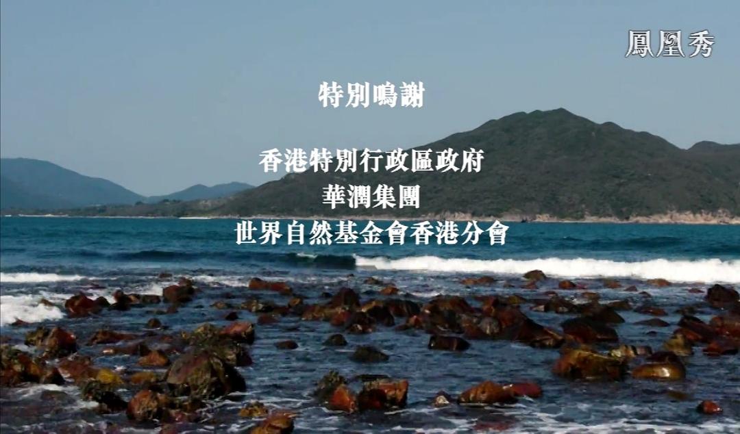 香港自然故事 剧照8