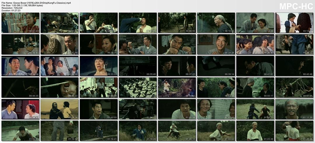 野鹅鸟龙招 剧照4