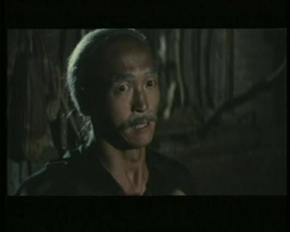 野鹅鸟龙招 剧照6