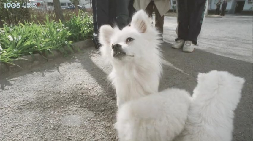 男生日记 剧照2