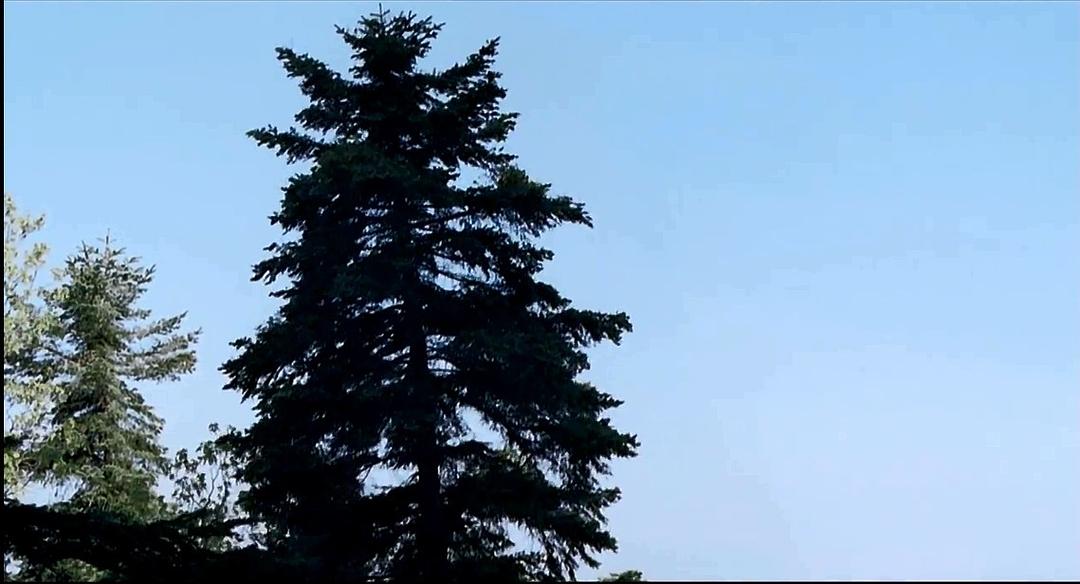 生命四重奏 剧照10
