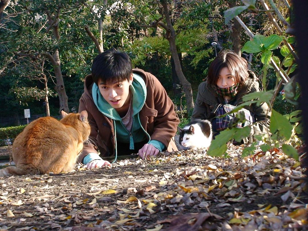 猫咪跟踪狂 剧照2