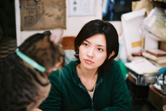 猫咪跟踪狂 剧照3