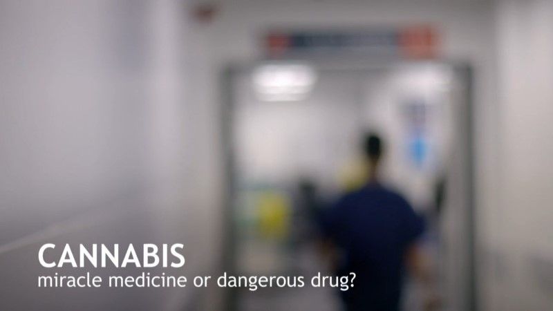 大麻.灵丹还是毒药 剧照5