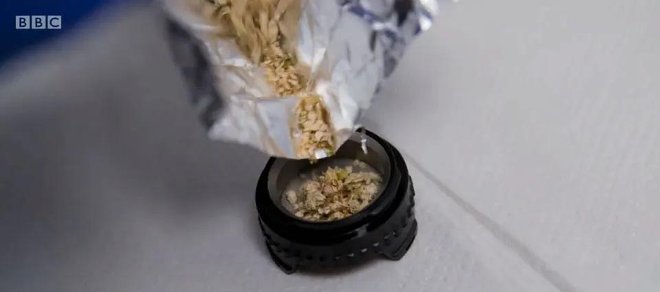 大麻.灵丹还是毒药 剧照6