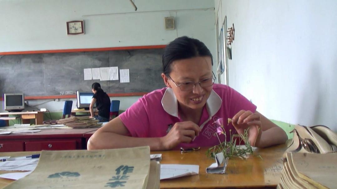 庙 剧照8
