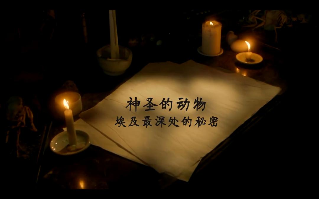 BBC地平线.七千万动物木乃伊.古埃及的暗黑秘密 剧照5