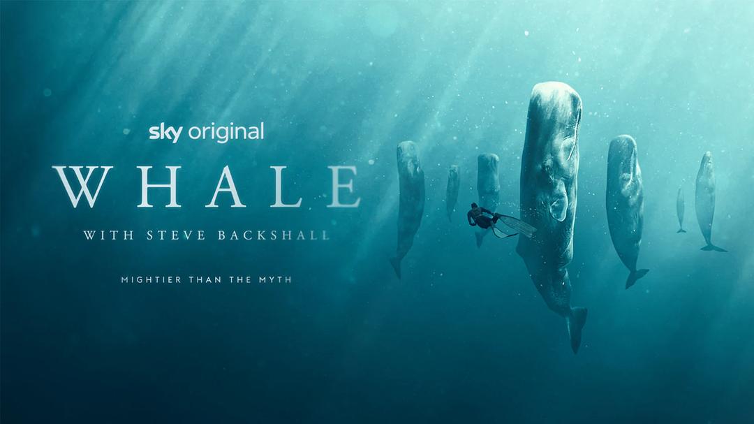 Whale with Steve Backshall Season 1 剧照1