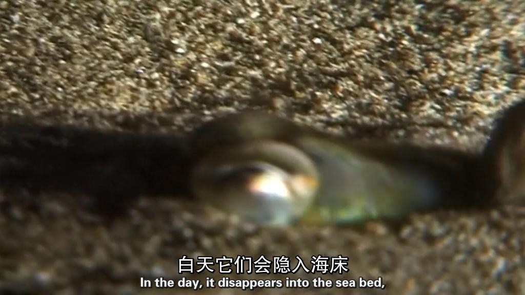地平线系列:战胜超级病菌 剧照4