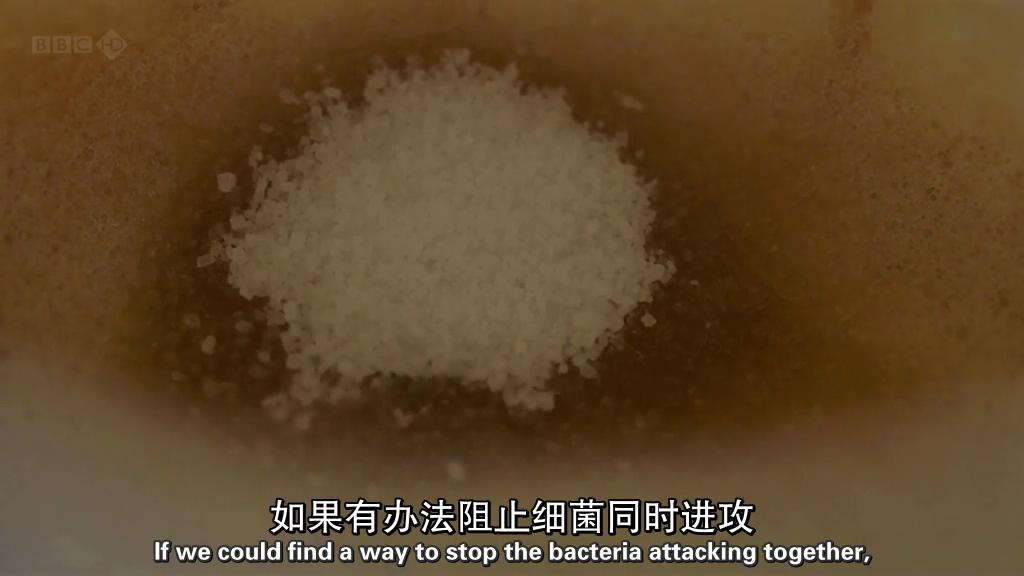 地平线系列:战胜超级病菌 剧照5