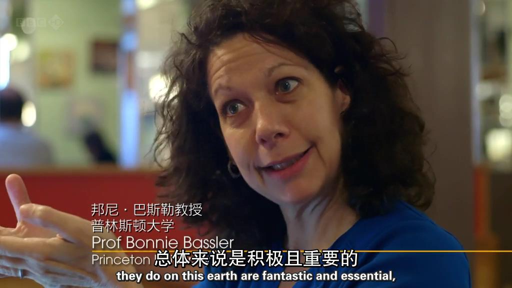 地平线系列:战胜超级病菌 剧照6