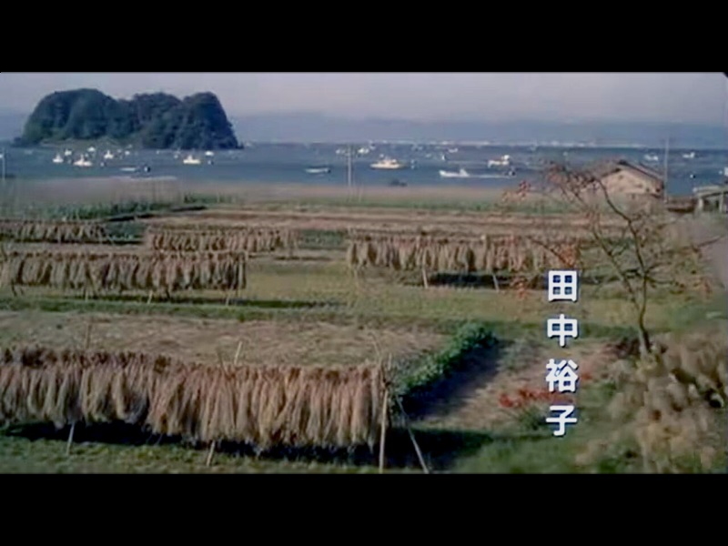 萤火虫 剧照2