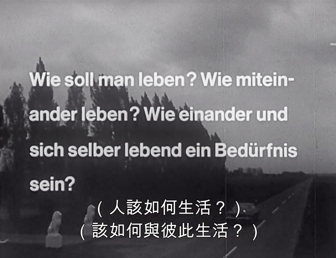 彼得·汉德克:我在森林,也许迟到…… 剧照5