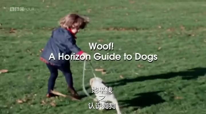 认识狗狗 剧照6