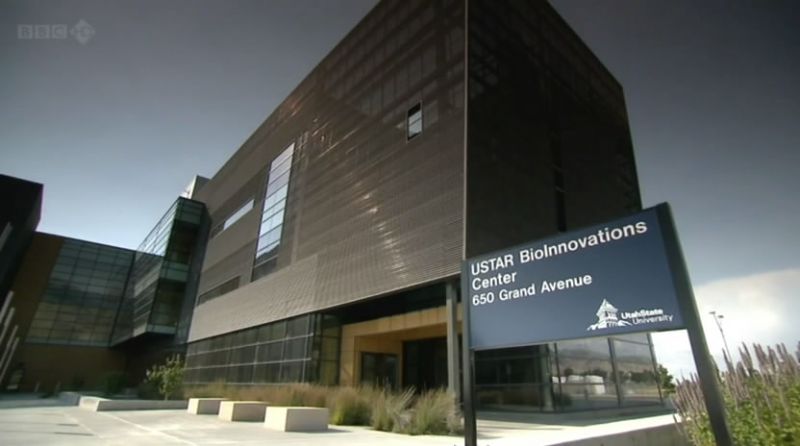 BBC地平线系列:扮演上帝-合成生物学前沿 剧照4