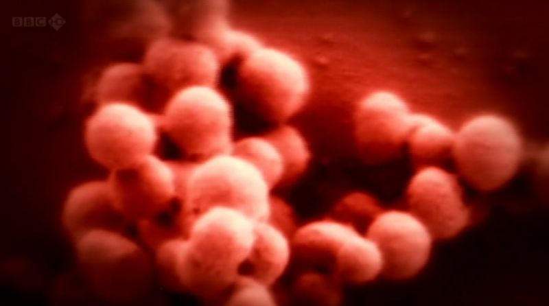 BBC地平线系列:扮演上帝-合成生物学前沿 剧照7