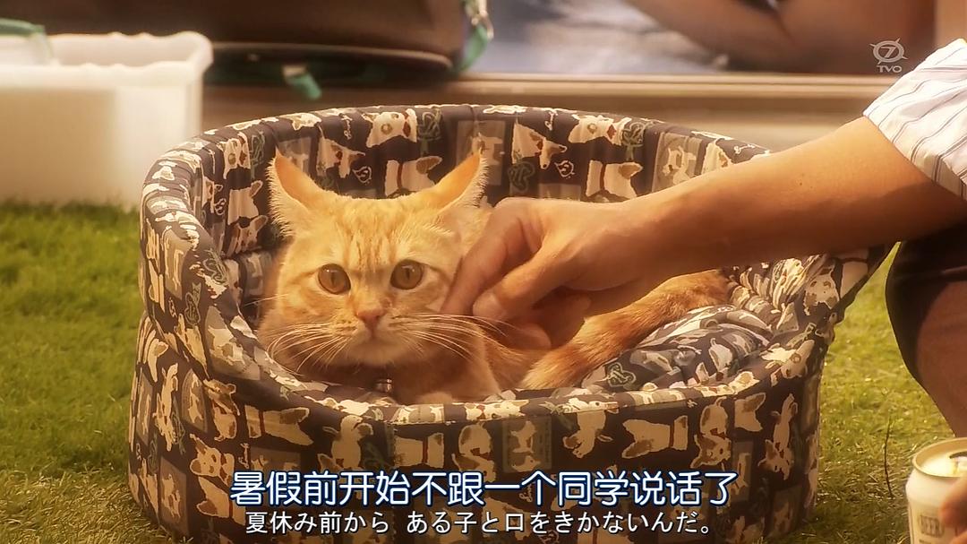 与不是A君的你 剧照2