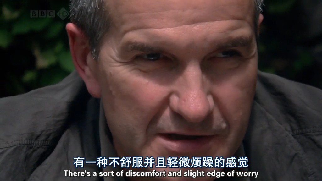 地平线系列:我喝太多了吗? 剧照4
