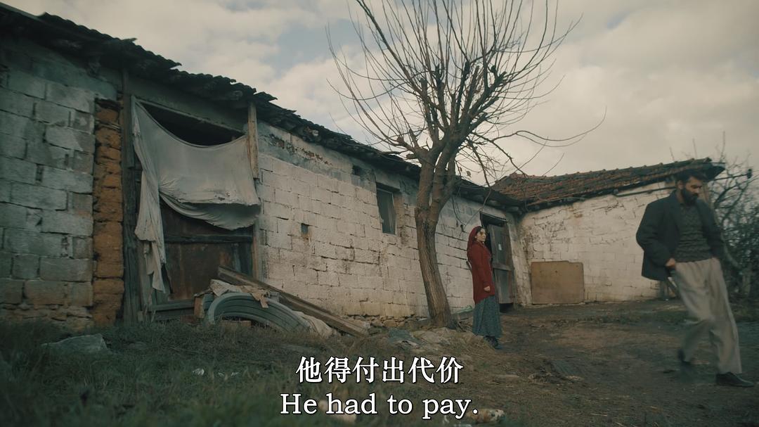 Haile:Bir Aile Kâbusu 剧照1