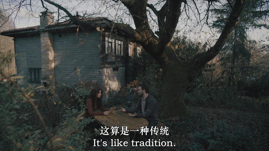 Haile:Bir Aile Kâbusu 剧照3