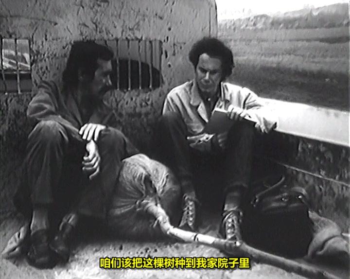 从非洲归来 剧照4