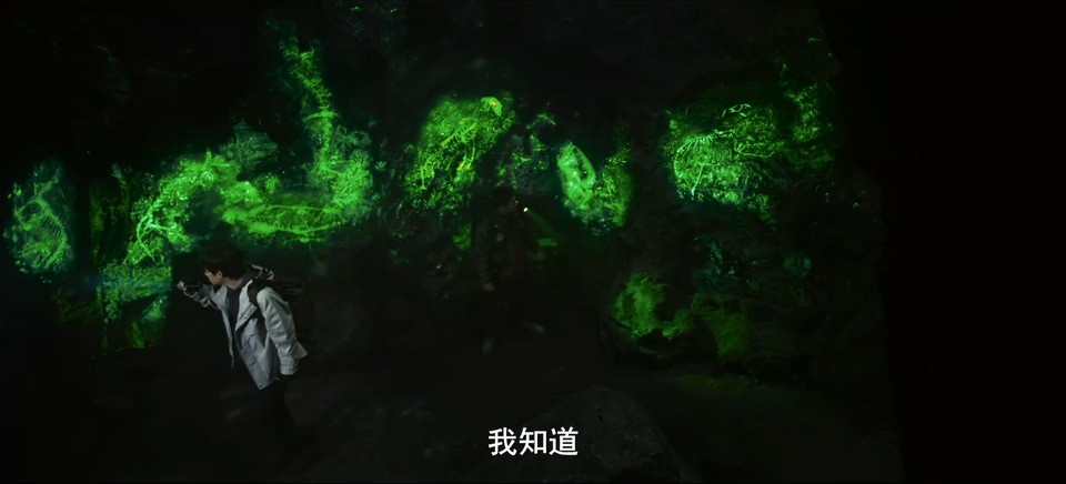 藏海花 剧照4