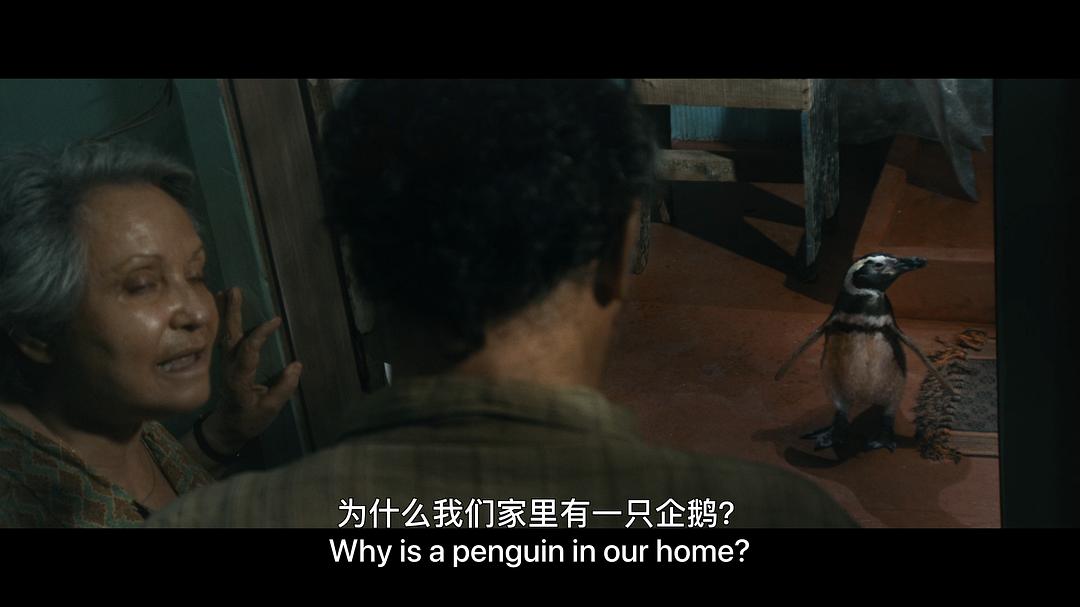 企鹅与渔夫 剧照6