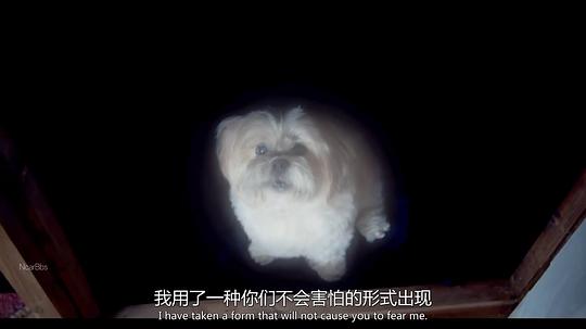 敌对维度 剧照1