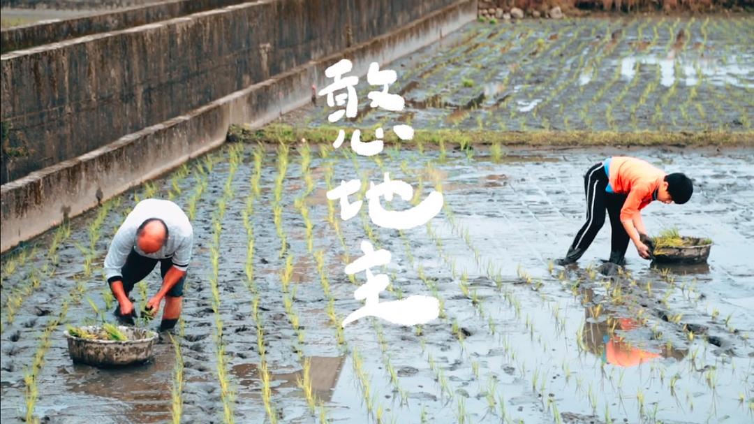 憨地主 剧照1