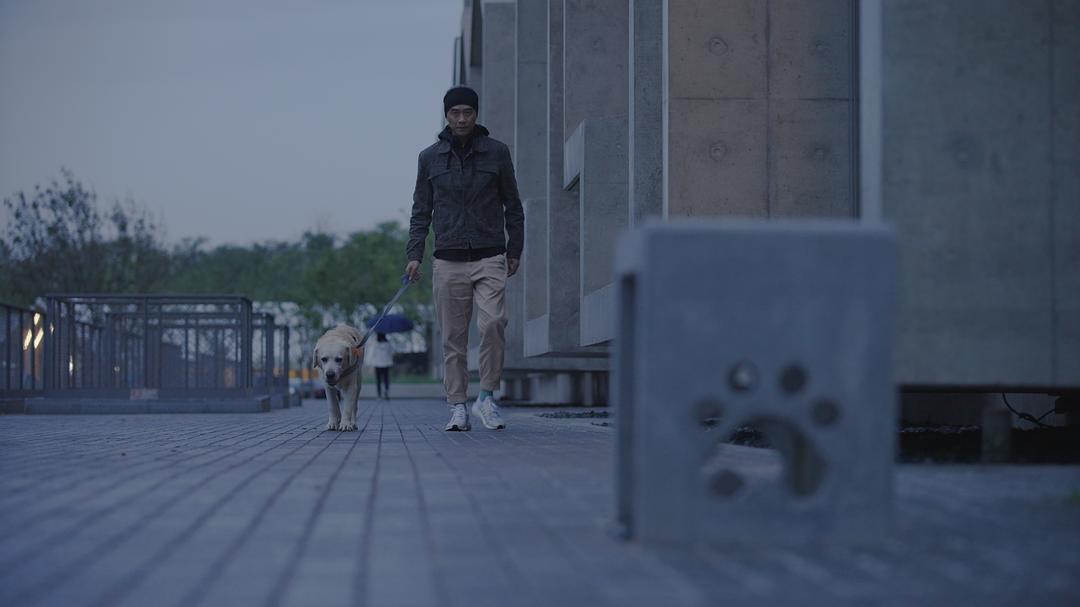 犬舍 剧照6