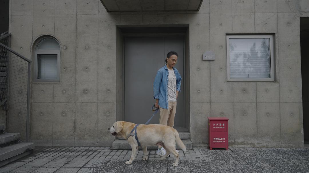 犬舍 剧照10