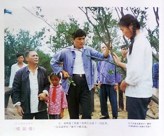 桔园情 剧照9