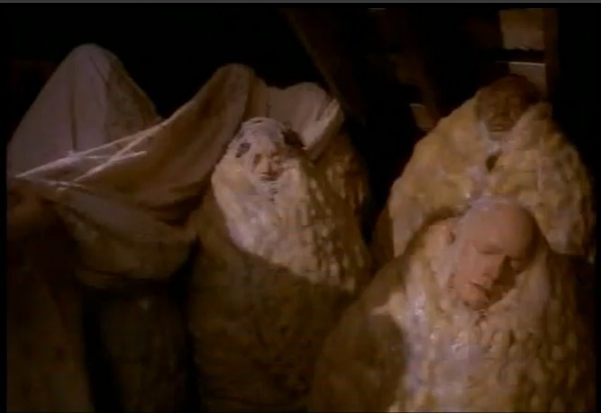 雨林终结者 剧照2