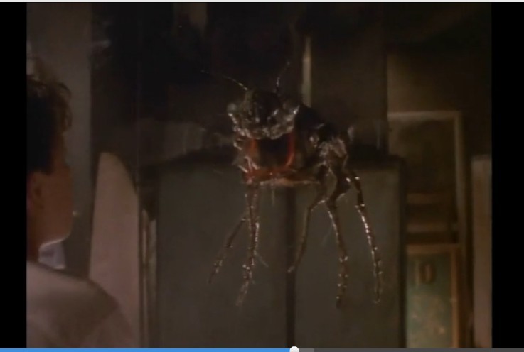 雨林终结者 剧照8