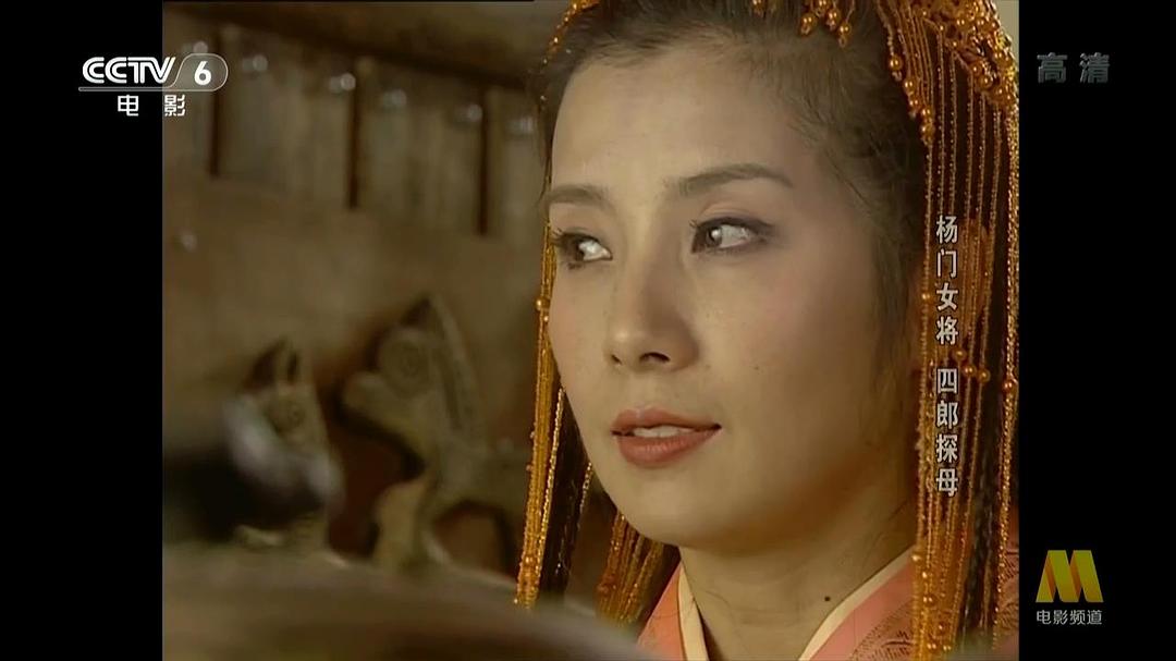 杨门女将之四郎探母 剧照5