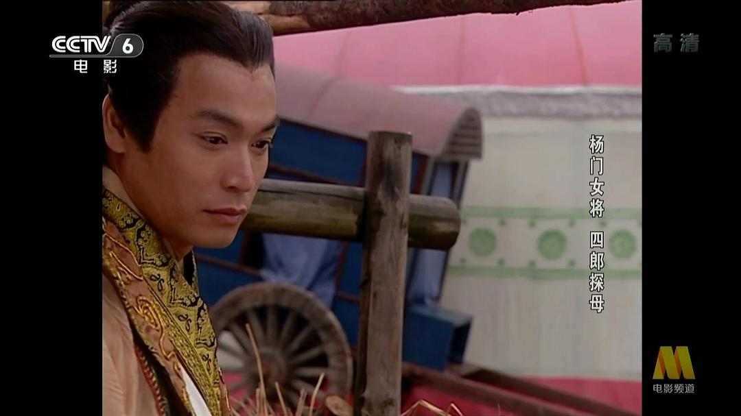杨门女将之四郎探母 剧照9