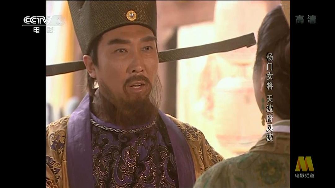 杨门女将之天波府风波 剧照2