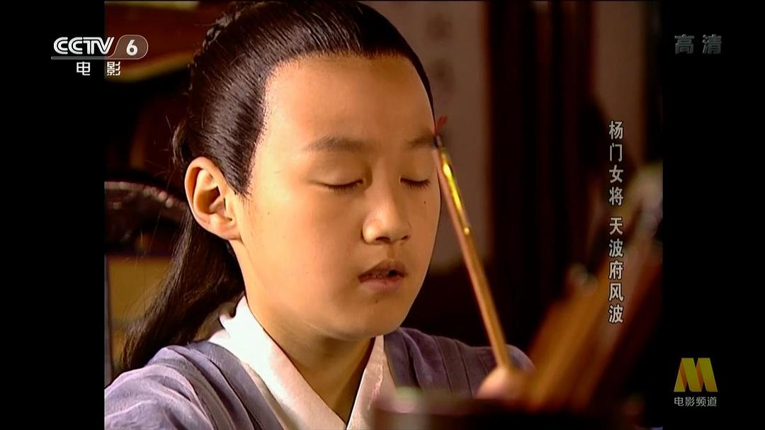 杨门女将之天波府风波 剧照3
