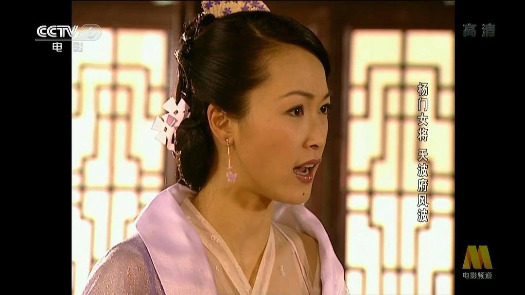 杨门女将之天波府风波 剧照5