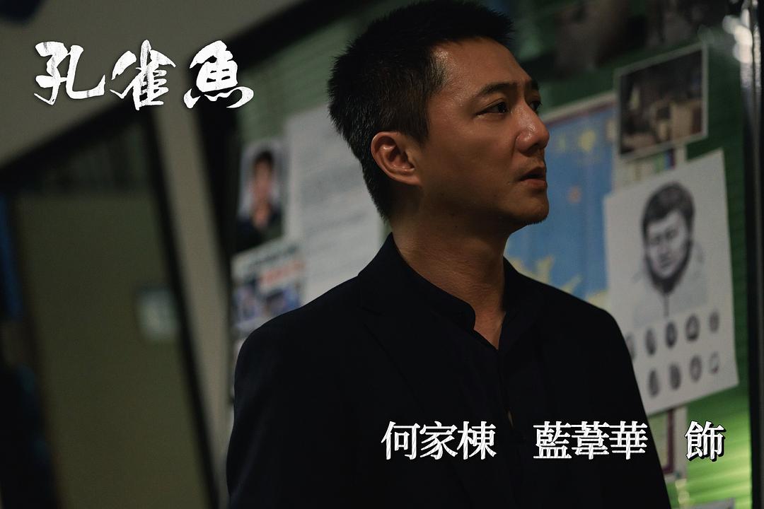 孔雀鱼 剧照4