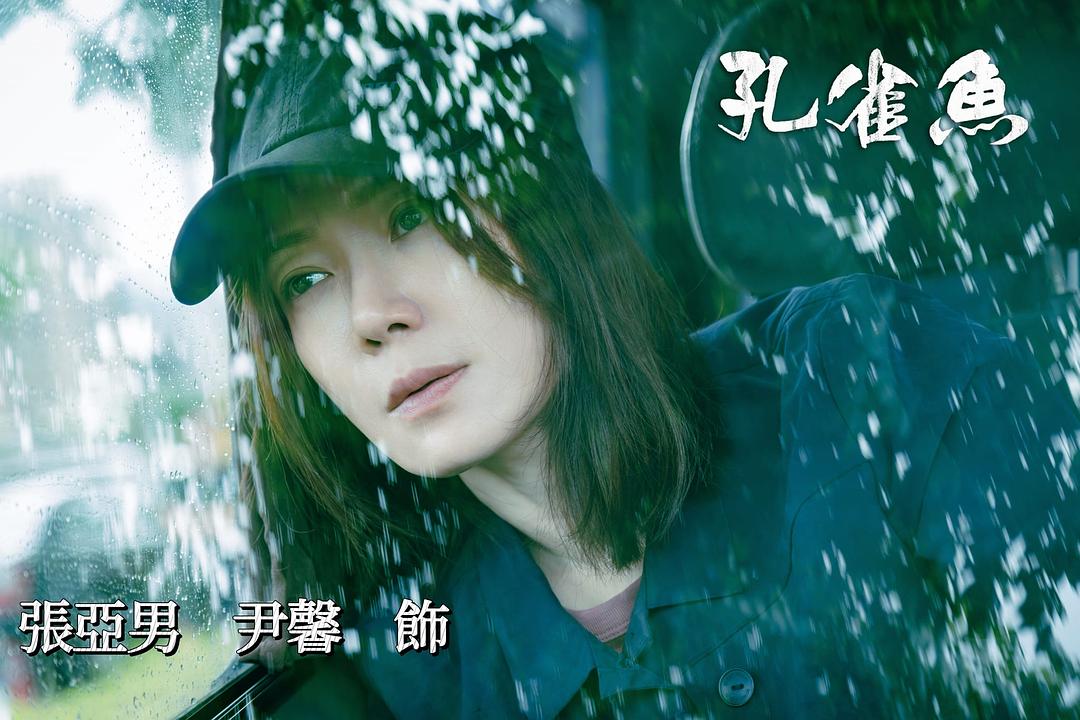 孔雀鱼 剧照5