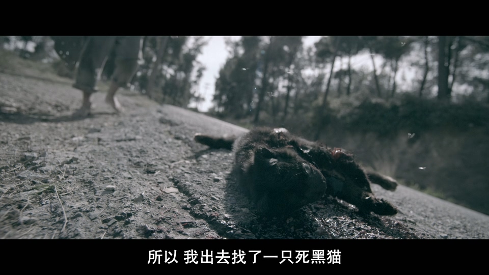 地狱男爵:歪曲人 剧照4